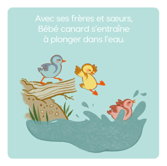 canard int 1.jpg