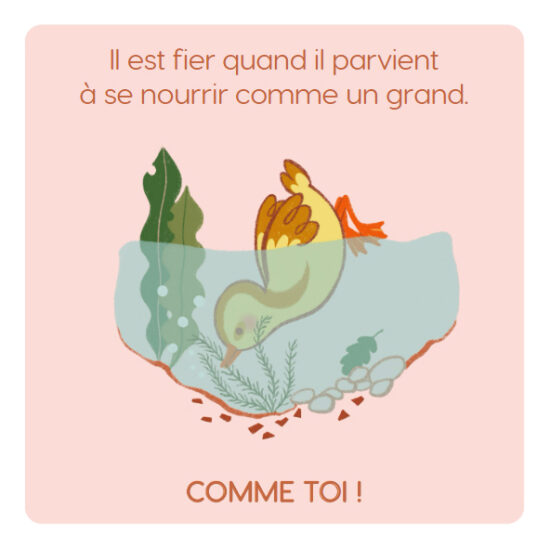 canard int 2.jpg