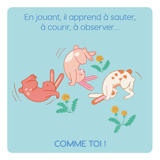 lapin int.jpg