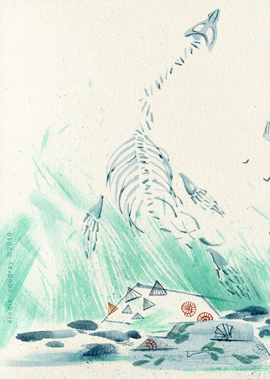 Mary Anning for Bravery-Elodie Coudray-1.jpg